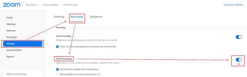 How to set up Zoom's built-in transcription