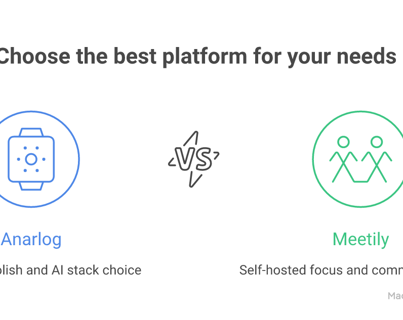Anarlog and Meetily compared: both local-first, differing in polish and focus